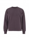 Dk Plum thumbnail